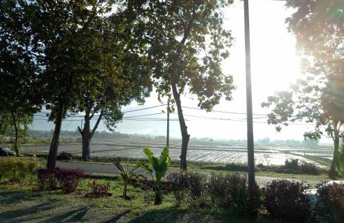 Simpang Kenyum Casa | IDUL Sunrise View