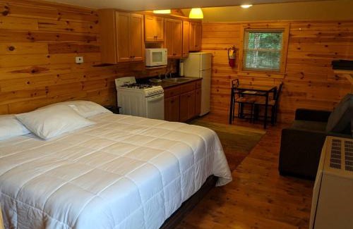 Grayling Casa | Idyllic Cabin Rental near the Au Sable River in Michigan