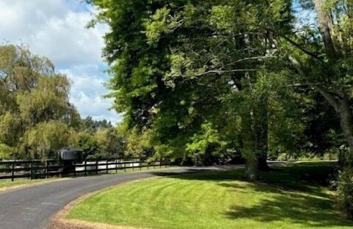 Tamahere Casa | If it is a quiet relaxing time away you are after - this is it!
