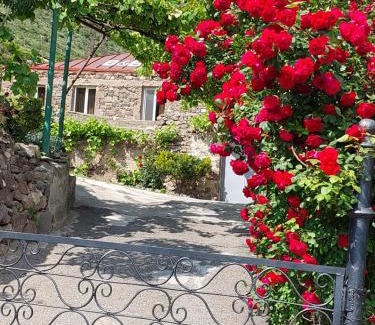 Halidzor Casa | Igor Bed and Breakfast