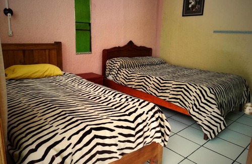Barrio del Cerrillo Hostal | Iguana Hostel