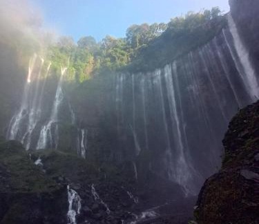Tamansuruh Casa | Ijen Blue Fire