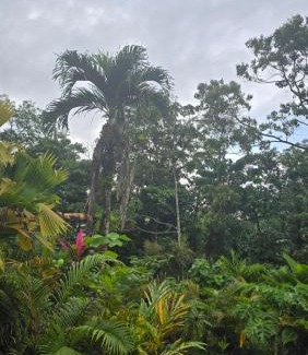 La Fortuna Casa | Iki Room with Jacuzzy