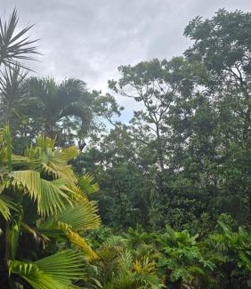 La Fortuna Casa | Iki Room with Jacuzzy