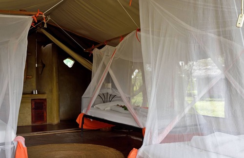 Serengeti National Park Otro | Ikoma Bush Camp
