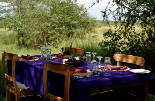 Serengeti National Park Otro | Ikoma Bush Camp