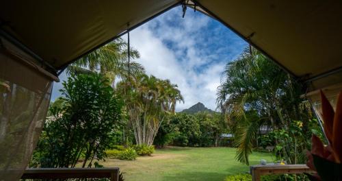 Matavera Otro | Ikurangi Eco Retreat