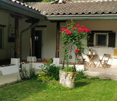 Teolo Casa | Il Bagolaro