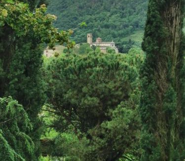 Teolo Casa | Il Bagolaro