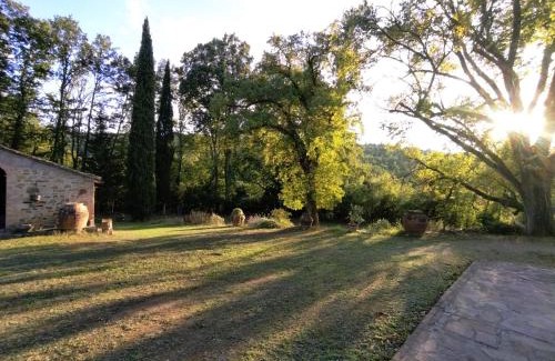 Montaione Apartamento | Il Bosco del Lebbio