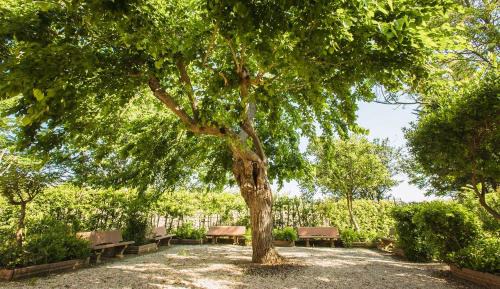 Castagneto Carducci Apartamento | Il Casale di Donoratico, Residence with swimming-pool