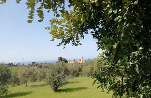 Campofelice di Roccella Casa | Il Casale il Sole e la Margherita