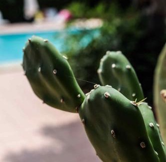 Campofelice di Roccella Casa | Il Casale il Sole e la Margherita