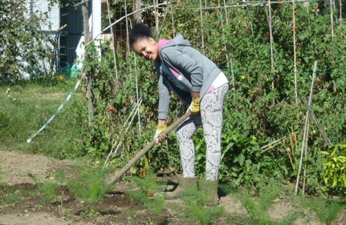 Viterbo Casa | Il CASALE NELLA TUSCIA. BIOFARM. Casa nel Giardino