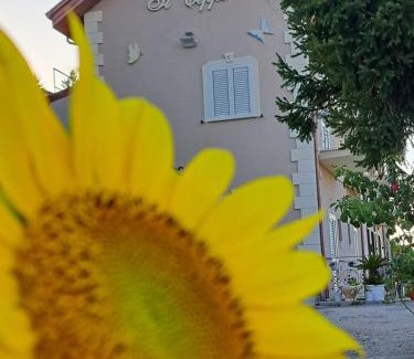 Piazza-Tralia-Pendolo Cama Y Desayuno | IL CEPPO sui sentieri per Amalfi