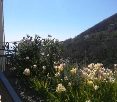 Dragonea Cama Y Desayuno | Il Covo delle Civette