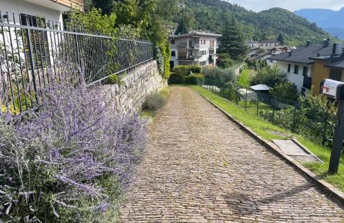Martignano Casa | Il fiore del Calisio