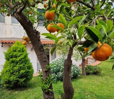 Meta Apartamento | Il Giardino dei Gigli