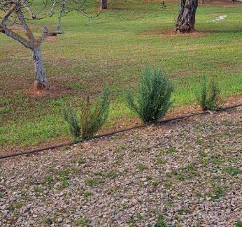 Alghero Casa | Il giardino dei sogni