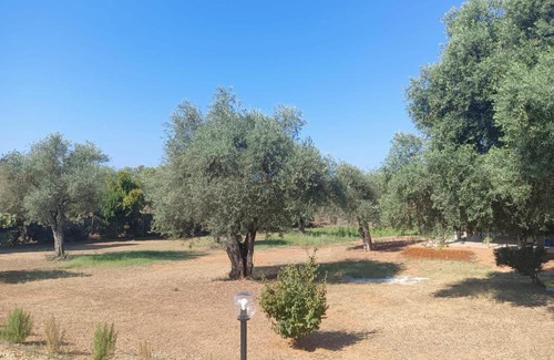 Alghero Casa | Il giardino dei sogni