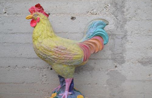 Sant'Eraclio Cama Y Desayuno | Il Giardino del Gallo