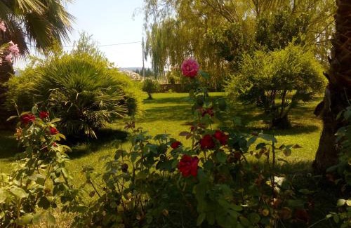 Olmedo Apartamento | Il Giardino delle Rose A
