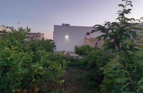 Marsala Casa | Il Giardino di Anna