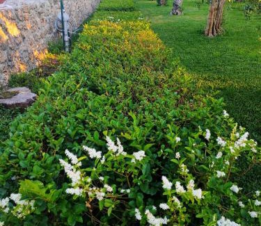 Paestum Apartamento | Il Giardino di Athena 1