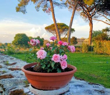 Paestum Apartamento | Il Giardino di Athena 1