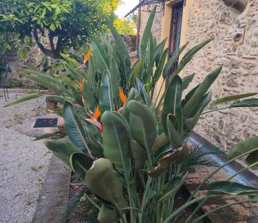 Paestum Apartamento | Il Giardino di Athena 1