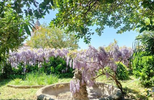 Raviscanina Cama Y Desayuno | Il giardino di Emilia