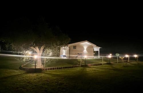 Grosseto Casa | Il giardino di nunzia