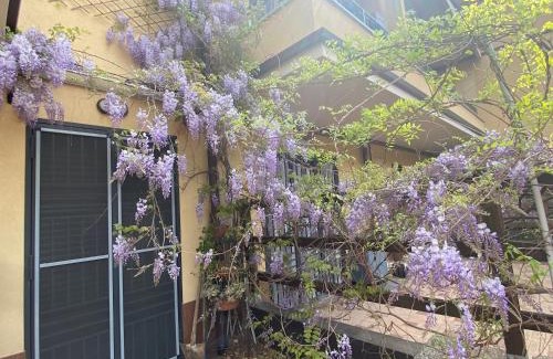 Cologno Monzese Casa | IL GIARDINO DI ZEUS