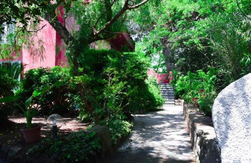 Barano d'Ischia Apartamento | IL GIARDINO SELVATICO DI SUCCELLARIO - APARTMENTS