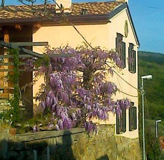 San Dorligo della Valle Cama Y Desayuno | Il Glicine