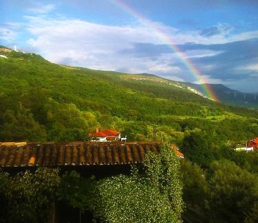 San Dorligo della Valle Cama Y Desayuno | Il Glicine