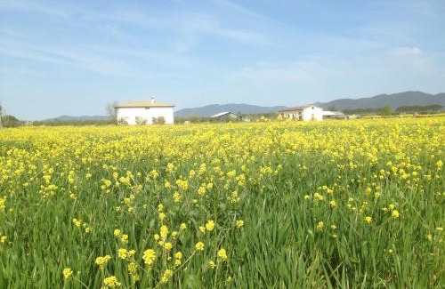 Grosseto Casa | Il Grano Di Bramante