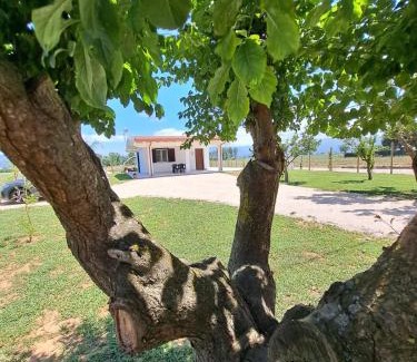 Pontinia Casa | Il Melograno