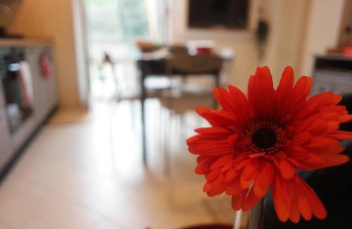 La Spezia Apartamento | Il Nido di Marirò
