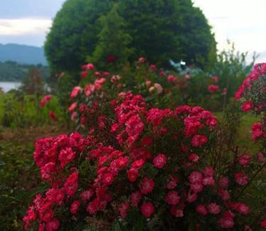 Barberino di Mugello Apartamento | Il Nido