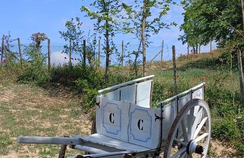 Portacomaro Otro | Il Nido nel Bosco
