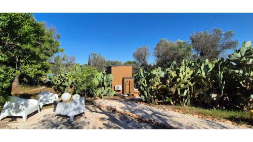 Ceglie Messapica Casa | Il Nostro Sogno - Madonna by Tiny Away