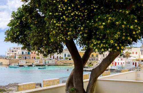 Santa Caterina Casa | Il Pittosforo by Casa di Marco AP16