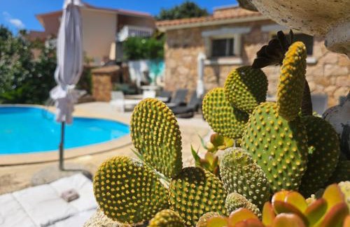 Luddui Apartamento | Il Rifugio Sul Mare