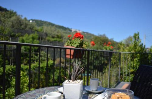 Sorrento Cama Y Desayuno | Il Rivolo
