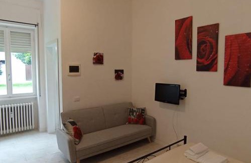 Cremona Apartamento | Il roseto di Cremona, luminoso monolocale indipendente