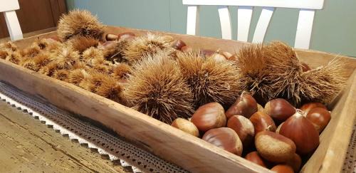 Vetralla Cama Y Desayuno | Il Sartore