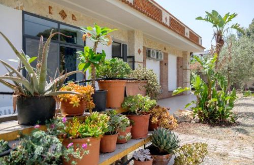 Santa Teresa di Riva Cama Y Desayuno | IL VIVAIO Bed and Breakfast