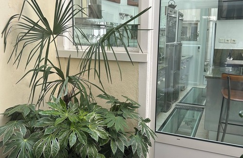 Saint-Victor Apartamento | Ile Saint Louis: la mejor ubicación de París, un lugar fabuloso