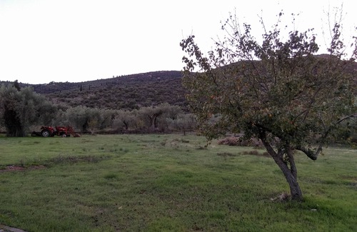 Galaxidi Apartamento | ILIA ART SUITES & ESTATE